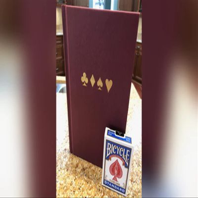 Beach House Card Tricks (Vol 1) by Marc Davison - Book