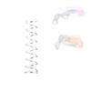 WORKER Modification Upgrade Spring and Spring Set for Nerf N-Strike Elite (5kg Zomble Cow Spring) view 1