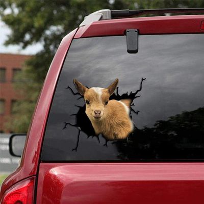 Ocean Gift Nigerian Dwarf Goat Car Decals, Wall Decals Stickers Pack of 2 - Realistic Car Stickers Design Series 14 Size 10" x 10"