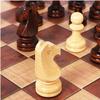 3 in 1 Folding Wooden Chess, Wooden Board Games Chess Set, Hand Carved Wood Chess Set, Checkers and Backgammon Games, Improve Your Creativity, Concentration and Intelligence (39x39cm) view 4