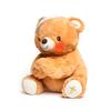 Cuddle Barn - Paws for Prayer Bear | Animated Singing Bear Stuffed Animal Plush Toy Prays Lights Up and Sings He's Got The Whole World in His Hands, 10 inches view 4