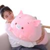 hitoshe Pig Plush Pillow, Soft Pink Pig Stuffed Animal Body Pillow Toy Gifts for Bedding, Kids, 23.6" view 4