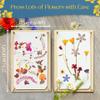 Berstuk Wooden Flower Press for Adults and Teens - Includes Expert Video Tutorials - Large Flower Press Kit 10.8" x 6.9" - Gift-Ready Packaging Ideal for Arts and Crafts Lovers view 3