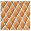 Safety Net Cargo Net Safety Stairs Rail Net Child Proofing Balcony Banister Railing Guard Baby Proof Stair Guards Goal Backstop Netting Ceiling Climbing Net Garden Netting view 1
