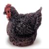 Melody Jane Dollhouse Sitting Hen Miniature Outdoor Bird Chicken Animal Garden Accessory view 1