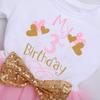 3rd Birthday Girl Outfit Toddlers Kid Third Birthday Party Princess Tutu Tulle A-line Skirt with Bowknot Headband Cake Smash Photo Shooting Props Pageant Wedding Summer Clothes Pink 3 Years view 2