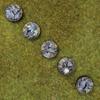 War World Gaming Fantasy Forest Resin Bases  Set of 10 Round 25mm Bases for 20-28mm Scale Miniatures view 4