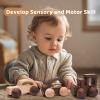 3PCS Wooden Baby Toys, Montessori Toys for Babies 0-6-12 Months, Baby Grasping Toys Push Car Toys for 1 Year Old Boy Birthday Gift,#2 view 4
