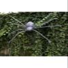 90" Grey Fuzzy Spider Standard view 3