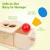 Adena Montessori Coin Box,3 in 1 Object Permanence Box Toys for 1 Year Old Baby Coins,Wooden Montessori Ball Drop Toys Developmental Toys for 6-12 Month Infant Toys,Triangle Ball Round Shapes view 2