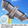 ZYCSKTL Flyer Kite,Large Adult Eagle-Shaped Kite in The Park, The Solid Resin Rod Supports The Flying Kite, Large-Scale Entertainment (Color : Gray, Size : 7.9ft+2297ft line A) view 2