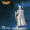 Aninomis Elf Warrior Figure Kit 28mm Heroic Scale Miniature Unpainted First Legion view 4