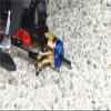AXIAL Racing CAPRA 1.9 UNLIMITED Brass Inner Part Of Front Knuckle Arms - 12pc set - GPM SCX3021BX [SCX3021BX] view 3