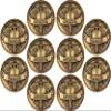 10 Pack of God is My Protection Challenge Coin, Pocket Token of Safety and Protection for Soldiers, Paramedics, First Responders, EMS, Doctors, Nurses, and Police Officers, Psalm 91 Gift view 1