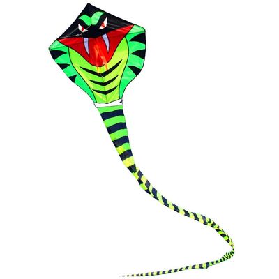 ZYCSKTL Kites for Adults,Large Super Long Green Snake Flying Kite On The Beach, Outdoor Family Entertainment Kite Flying Games, A Gift for Kite Lovers (Color : Green, Size : 98.4ft+1640ft line)