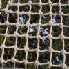Decor Net Safety Hemp Rope Birds Net Child Stairs Fence Outdoor Plant Net Heavy Duty Cargo Net Kids Swing Protection Playground Railing (Size : 2 * 2m(7 * 7ft)) view 3