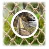 Rope Net for Kids, Railing Safety Net Child Stairs Decor Net Hemp Rope Cargo Net Heavy Duty Netting Birds Net Kids Swing Outdoor Playground Fence Balcony (Size : 3 * 5m(10 * 16ft)) view 3