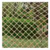 Hynet Safety Net Outdoor, Birds Climbing Net Kids Playground Rope Net Stair Fence Balcony Plant Protective Net Rock Rope Ladder Pet Safety Child Bed (Size : 3 * 6m(10 * 20ft)) view 1