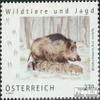 Austria 3455 (Complete.Issue.) unmounted Mint/Never hinged ** MNH 2019 Wildschwein (Stamps for Collectors) Other Mammals (Monkeys/Dinosaurs/Elephants ...) view 1
