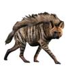 1/6 Africa Striped Hyaena Figure Realistic Educational Hyaenidae Animal Model Resin Collector Home Decoration Birthday Gift view 1