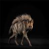 1/6 Africa Striped Hyaena Figure Realistic Educational Hyaenidae Animal Model Resin Collector Home Decoration Birthday Gift view 2