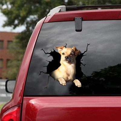 Ocean Gift Chiweenie Car Decals, Dog Car Stickers Pack of 2 - Realistic Chiweenie Stickers for Car Windows, Walls Series 64 Size 12" x 12"