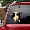 Ocean Gift Chiweenie Car Decals, Dog Car Stickers Pack of 2 - Realistic Chiweenie Stickers for Car Windows, Walls Series 64 Size 12" x 12" view 1