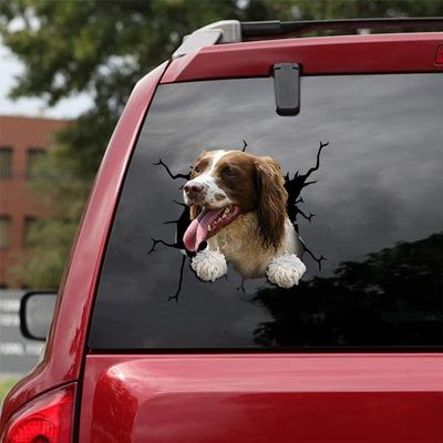 Ocean Gift English Springer Spaniel Car Decals, Dog Car Stickers Pack of 2 - Realistic English Springer Spaniel Stickers for Car Windows, Walls Series 68 Size 12" x 12"