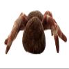 The Petting Zoo Tarantula Stuffed Animal, Gifts for Kids, Wild Onez Zoo Animals, Tarantula Plush Toy Sitting 12 inches view 4
