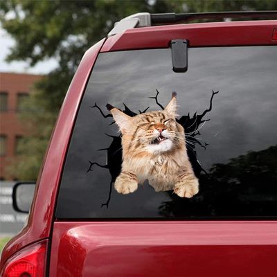 Ocean Gift Maine Coon Car Decals, Cat Car Stickers Pack of 2 - Realistic Maine Coon Stickers for Car Windows, Walls Series 12 Size 12" x 12"