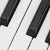 37 Keys Kids Piano Electric Keyboard Starter Music Keyboard Electric Piano Musical Instrument with Microphone(Silver) view 4
