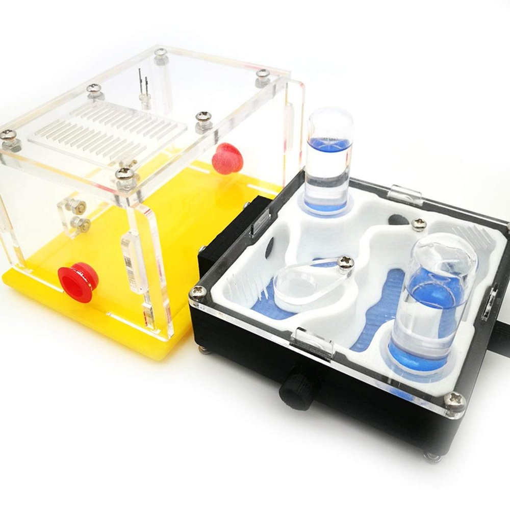 Ant Farm Acrylic Ant Villa Ant Housing Nest Farm House Educational Formicarium Plastic Display Box Pet Mania for Ant Feeding