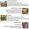 Cargo Net Climbing, Kids Swing Rope Net Playground Climbing Birds Net Heavy Duty Netting for Indoor Rock Climbing Wall Play Swing (Size : 2 * 8m(7 * 26ft)) view 4