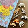 Safari Ltd. Asian Animals TOOB - Set of 8 Mini Figurines - Asian Elephant, Indian Rhino, Orangutan, Panda Bear, Tiger, Antelope, Philippine Eagle, and Gavial - Toys for Boys, Girls & Kids Ages 3+ view 3
