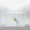 XINGLL Acrylic Display Case Showcase, Clear Water Tank Photography Shooting, Floating Creative Photo Props, Product Advertising Shooting, Deep Shallow Water Tank (Color : Clear, Size : 40X40X5CM) view 4