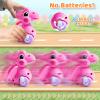 Beestech Wind Up Dinosaur Toys for 3,4,5,6 Years Old Girls Toddlers Boys, Dinosaur Birthday Party Supplies Favors, Girls with Backpack view 2