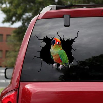 Ocean Gift Golden-Capped Car Decals, Parakeet Stickers Pack of 2 - Realistic Gold-Capped Conure Car Stickers Series 28 Size 10" x 10"
