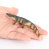 Crocodile Growth Cycle, Animal Growth Cycle Biological Model Toy Growth Stage Lifelike Crocodile Life Cycle Model Set for Kids Education Insect Themed Party Favors view 4