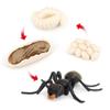 Ant Growth Cycle, Animal Growth Cycle Biological Model Toy Growth Stage Lifelike Ant Life Cycle Model Toy Set for Kids Education Insect Themed Party Favors view 1