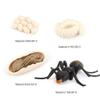 Ant Growth Cycle, Animal Growth Cycle Biological Model Toy Growth Stage Lifelike Ant Life Cycle Model Toy Set for Kids Education Insect Themed Party Favors view 2