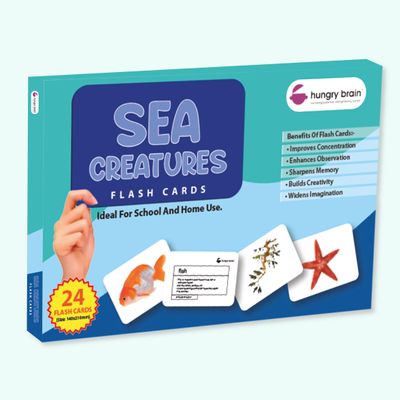 Hungry Brain Sea Creatures Flash Cards for Toddlers (Ages 14), 24 Double-Sided Real Picture Learning Cards | Early Learning Educational Flashcards | Montessori & Preschool Toy for Babies and Kids