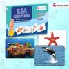 Hungry Brain Sea Creatures Flash Cards for Toddlers (Ages 14), 24 Double-Sided Real Picture Learning Cards | Early Learning Educational Flashcards | Montessori & Preschool Toy for Babies and Kids view 2