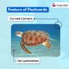 Hungry Brain Sea Creatures Flash Cards for Toddlers (Ages 14), 24 Double-Sided Real Picture Learning Cards | Early Learning Educational Flashcards | Montessori & Preschool Toy for Babies and Kids view 4