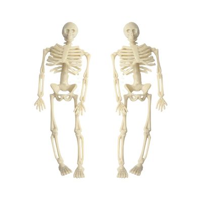 Acxico 2Pcs Halloween - Skeleton - 1:12 Scale Mini Miniature
