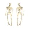 Acxico 2Pcs Halloween - Skeleton - 1:12 Scale Mini Miniature view 1