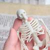 Acxico 2Pcs Halloween - Skeleton - 1:12 Scale Mini Miniature view 2