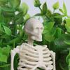 Acxico 2Pcs Halloween - Skeleton - 1:12 Scale Mini Miniature view 3