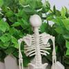 Acxico 2Pcs Halloween - Skeleton - 1:12 Scale Mini Miniature view 4