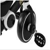 Tricycle black and white view 4