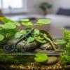 NUOBESTY Realistic Fake Lizard Artificial Model Reptile Plastic Lizard Action Figures Trick Playthings Prank Educational Toys 2Pcs view 4